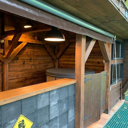 Willa Avalanche Plaiul Foii Zărneşti Zewnętrze zdjęcie