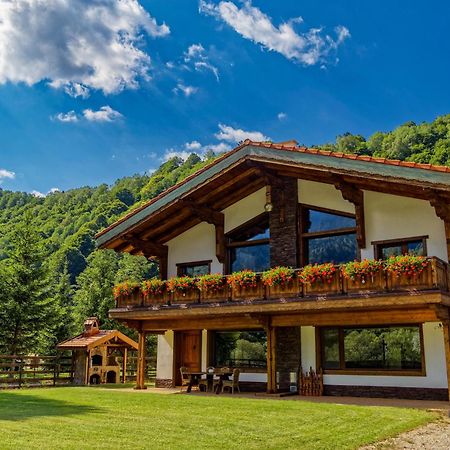 Willa Avalanche Plaiul Foii Zărneşti Zewnętrze zdjęcie